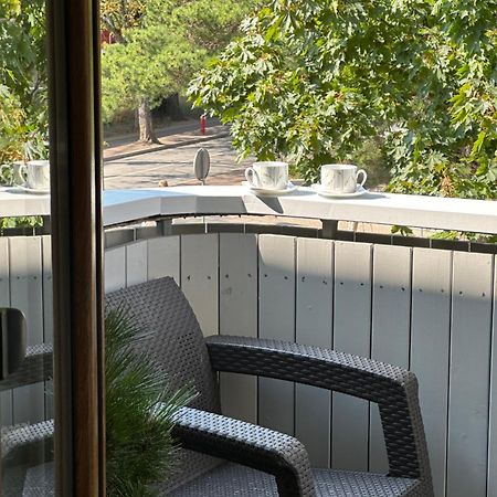Alintoma Holiday Apartment Połąga Zewnętrze zdjęcie